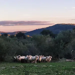  Chalet Olivae España